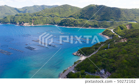 Kochi Kashiwa寄生蟲鳥瞰圖風景 Kochi Kashiwa寄生蟲鳥瞰圖風景 50272102