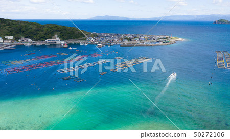 Kochi Kashiwa寄生蟲鳥瞰圖風景 Kochi Kashiwa寄生蟲鳥瞰圖風景 50272106