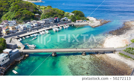 Kochi Kashiwa寄生蟲鳥瞰圖風景 50272113