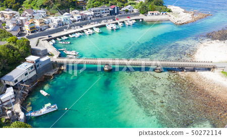 Kochi Kashiwa寄生蟲鳥瞰圖風景 50272114