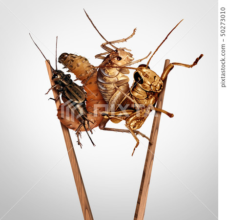 Edible Insects Edible Insects 50273010