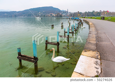 Annecy lake and Old Town, France 50274026