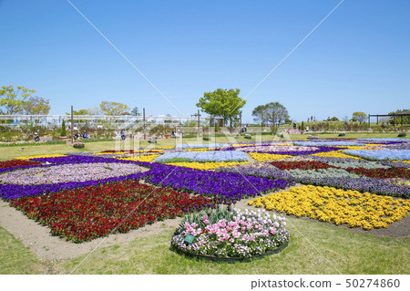 仙台市仙台市農業園藝中心 50274860