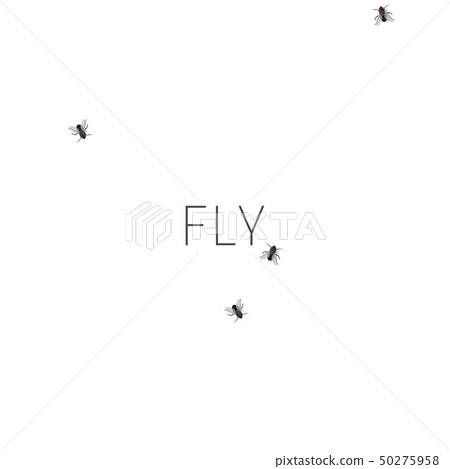 Pattern with crawling houseflies Pattern with crawling houseflies 50275958