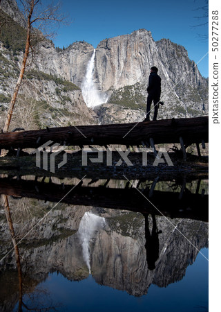Photographer standing in Yosemite national park 50277288