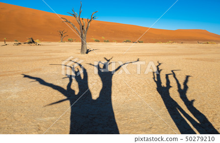 Dead Camelthorn Trees and red dunes in Deadvlei 50279210
