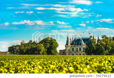 Chateau and vineyard in Margaux, Bordeaux, France Chateau and vineyard in Margaux, Bordeaux, France 50279222
