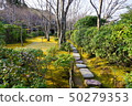 Kyoto's famous Japanese garden! Okawachi Sanso Garden 50279353