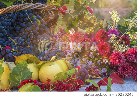 Beautiful autumn composition  50280245