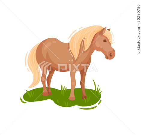 Pony grazing in the meadow. Vector illustration. 50280786