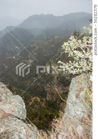 Copper Canyon - Mexico 50282376