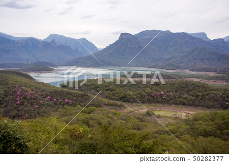 Copper Canyon - Mexico Copper Canyon - Mexico 50282377
