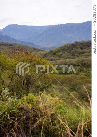 Copper Canyon - Mexico 50282379