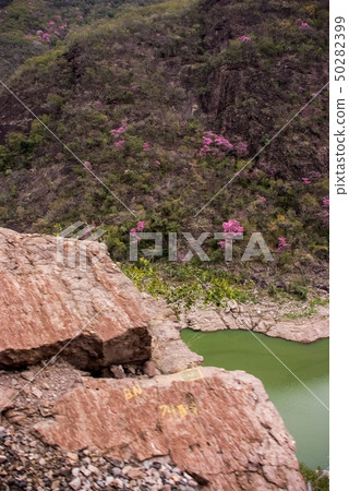 Copper Canyon - Mexico 50282399