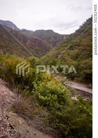 Copper Canyon - Mexico 50282408