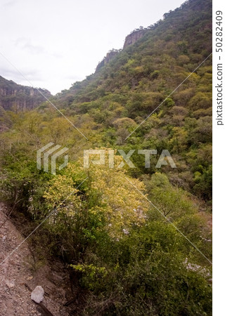 Copper Canyon - Mexico 50282409