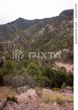 Copper Canyon - Mexico 50282444