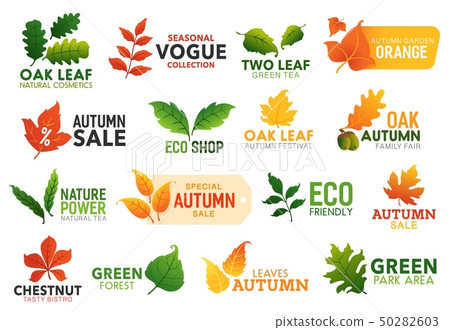 Gree eco leaf, food and seasonal promo icons Gree eco leaf, food and seasonal promo icons 50282603