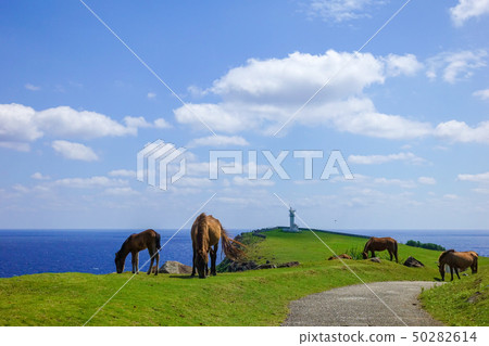 Yonaguniuma 50282614