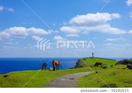 Yonaguniuma 50282615