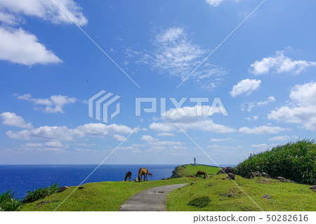 Yonaguniuma 50282616