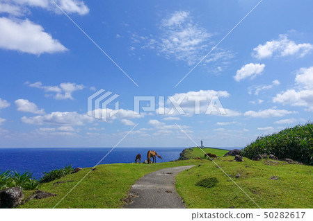 Yonaguniuma 50282617