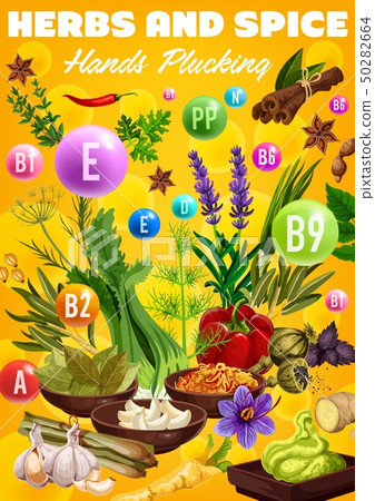 Vitamins in organic spices and herb seasonings Vitamins in organic spices and herb seasonings 50282664
