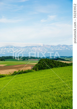 Rural scenery of Hokkaido Rural scenery of Hokkaido 50283912