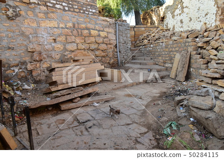 Jaisalmer城堡和住所在Jaisalmer，拉賈斯坦邦，印度生活在城堡的小狗 50284115