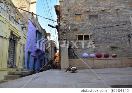 Jaisalmer城堡在拉賈斯坦邦印度Jaisalmer城堡和它的住所在世界遺產流浪狗坐 50284143