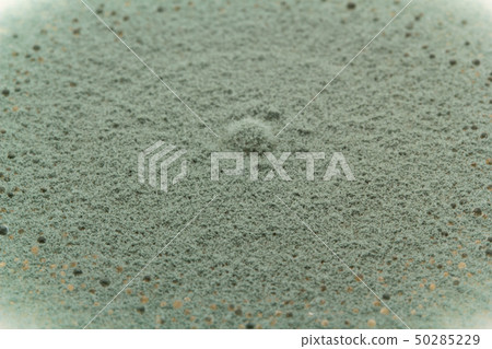 Penicillium expansum Penicillium expansum blue mold Penicillium expansum Penicillium expansum blue mold 50285229