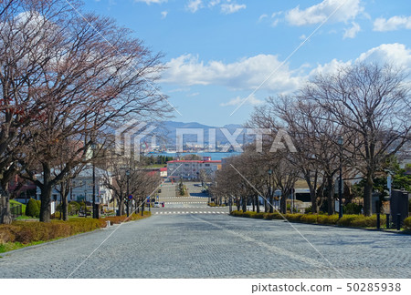 從函館Motosakaue查看 從函館Motosakaue查看 50285938