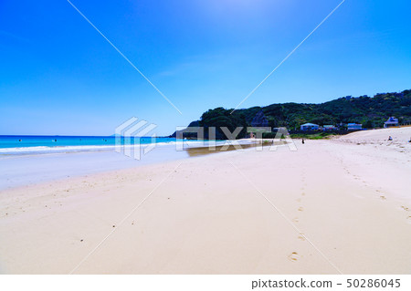 [靜岡縣]伊豆白濱海岸 50286045