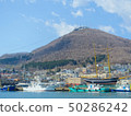 Hakodate Bay from Hakodate Bay 50286242