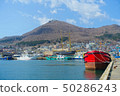 Hakodate Bay from Hakodate Bay 50286243