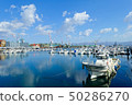 Hakodate area from Bentencho 50286270