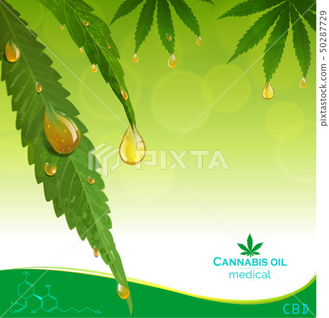 Marijuana plant and cannabis oil drop vector. Marijuana plant and cannabis oil drop vector. 50287729