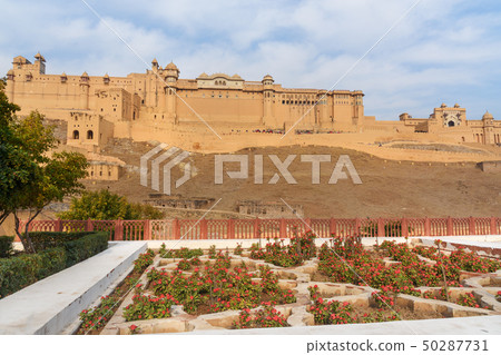 View of Amber fort and palace from Kesar Kyari 50287731