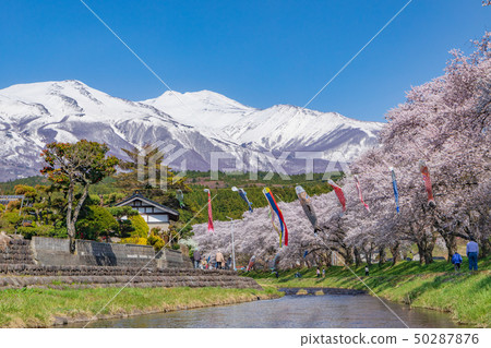 Mt. Chokai and the village of Sakura 50287876