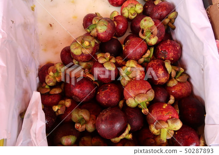 Public market in Guangdong Province Public market in Guangdong Province 50287893