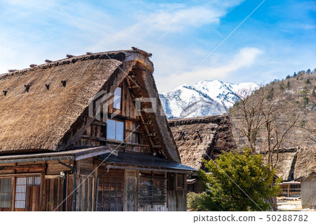 白川鄉的一種人參，世界遺產 50288782
