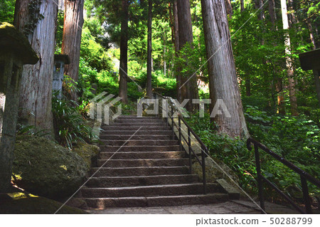 Tohoku，Yamagata，Yamadera，Kozuruzan Tateishi，四步穿越雪松，穿透天空 50288799