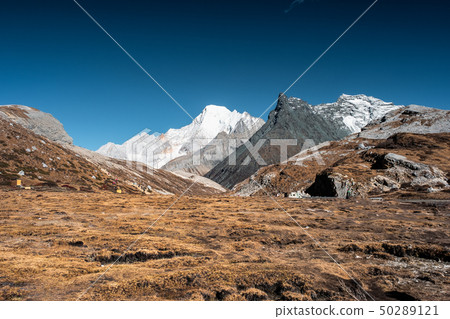 Landscape of golden arid field with limestone Landscape of golden arid field with limestone 50289121