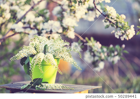 Spring garden Spring garden 50289441