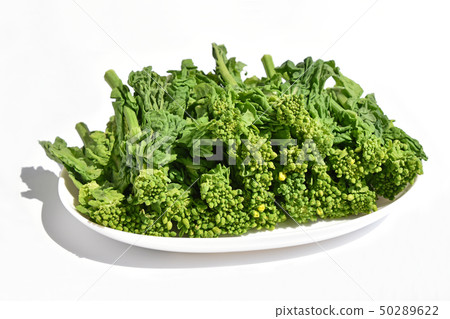 Natsuka (Nana) Natsuka (Nana) 50289622