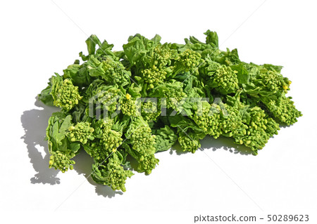 Natsuka (Nana) Natsuka (Nana) 50289623