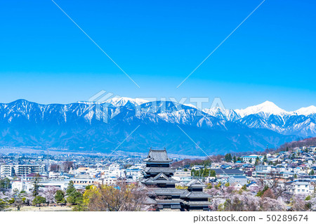 從松本市觀察台觀察的松本城和市區[長野縣] 50289674