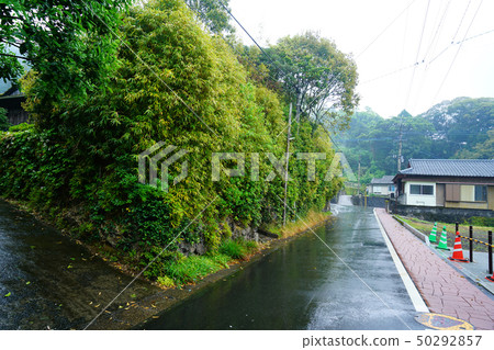 柏市溫泉鹿兒島縣 50292857