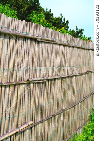 Bamboo landscape 50293122
