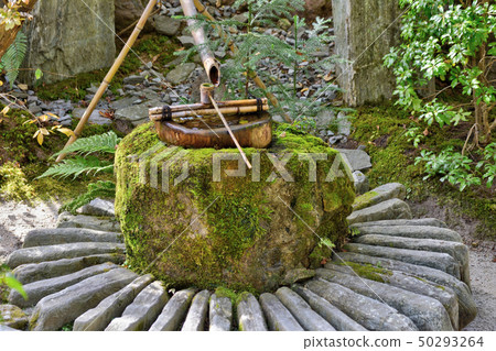 TakaraIzumiin 50293264